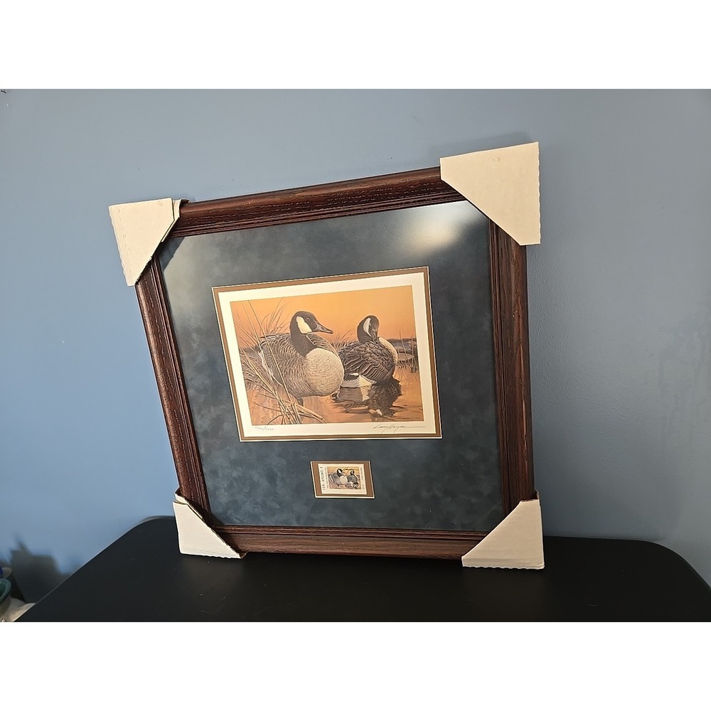 1992 Texas‎ Waterfowl Duck Conservation Stamp Print Framed New Mint Canada Geese